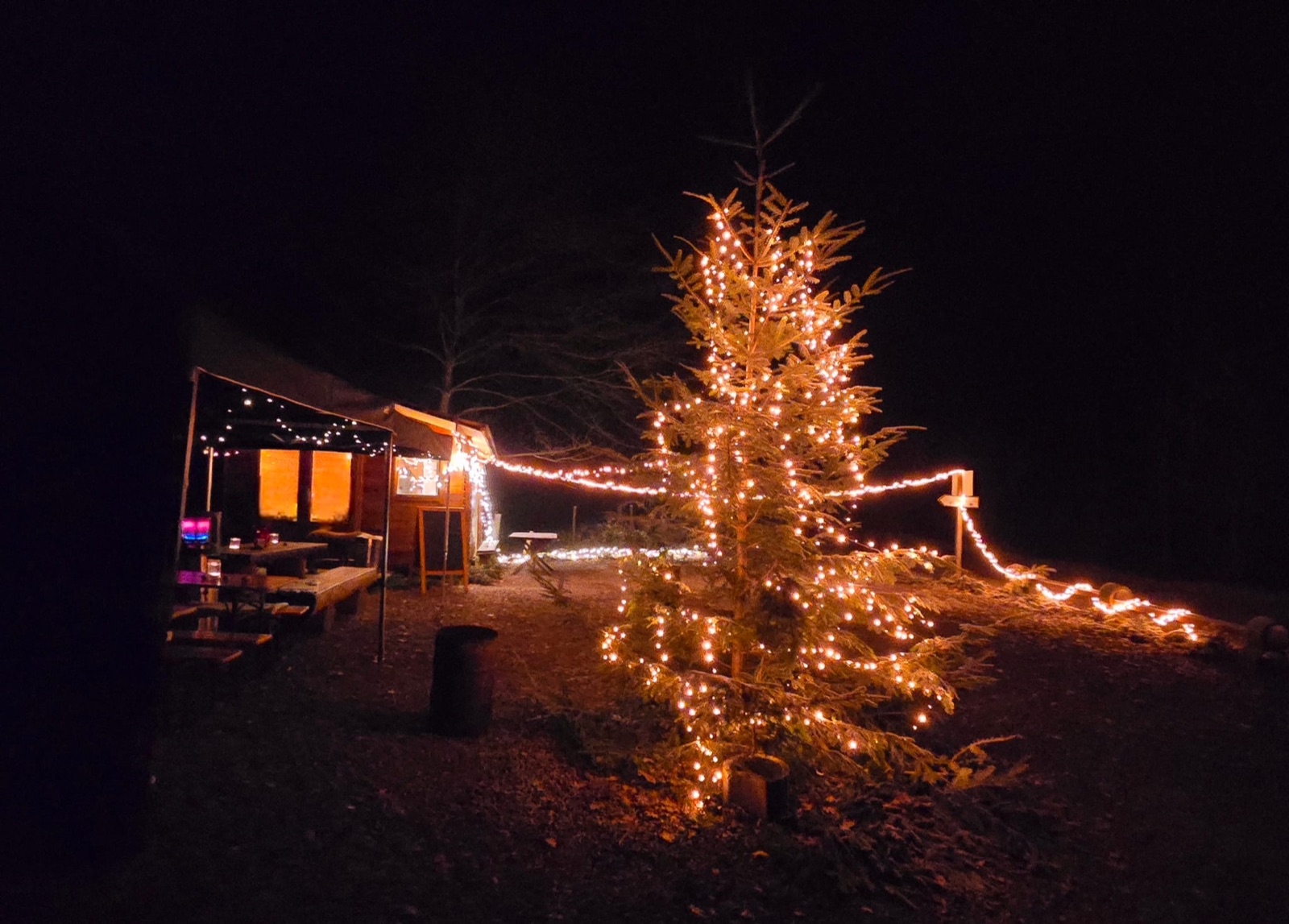 Hütte mit Weihnachtsbeleuchtung